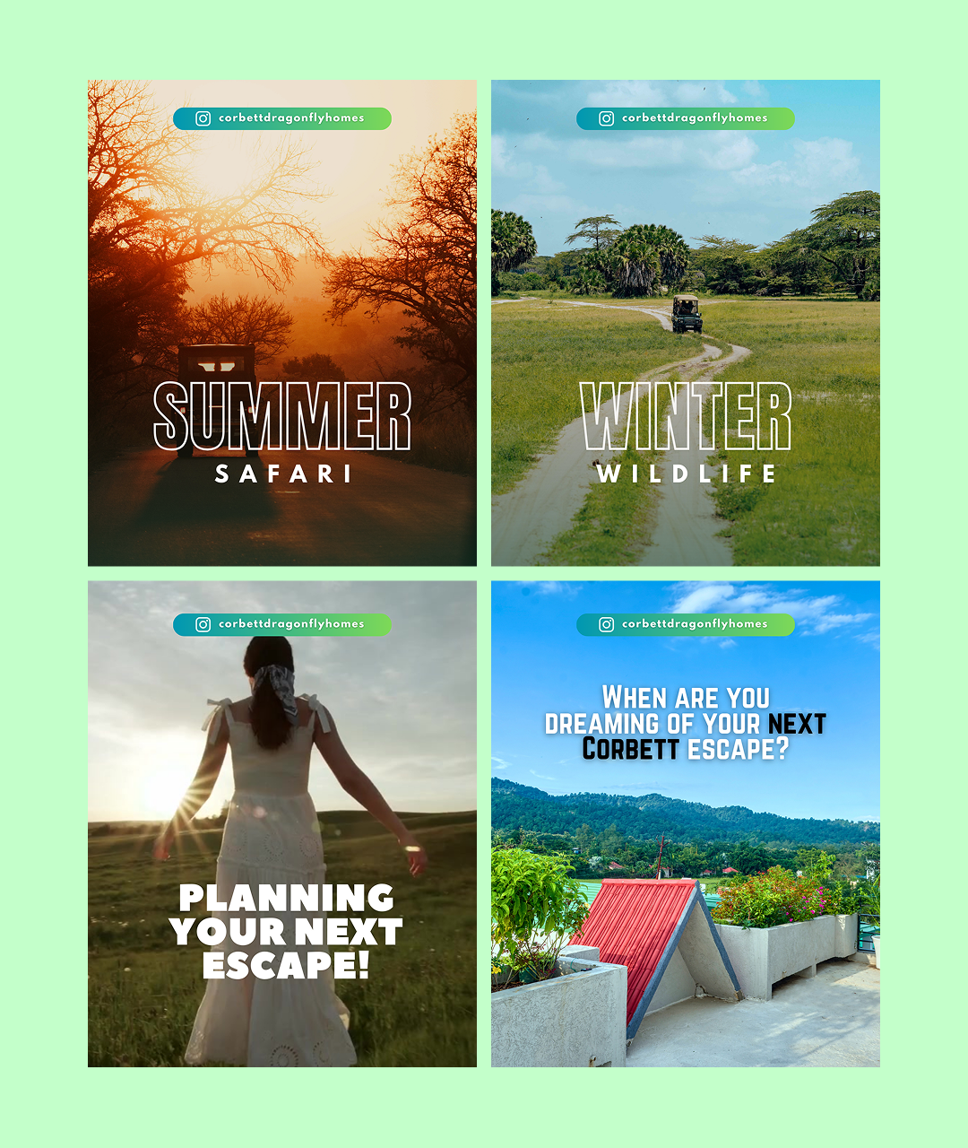 E-commerce Rewards Hub